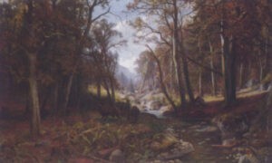 Forest Clearing (Waldlichtung)