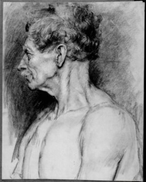1881 - Bust Length Profile Study of a Naked Old Man with a Moustache facing Left.
