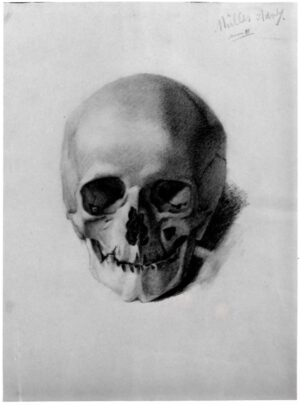 1881 - Study of a Skull