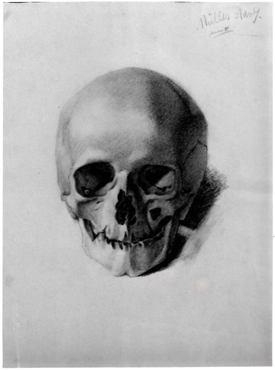 1881 - Study of a Skull